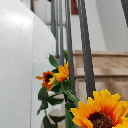 Lägenhet Con Giardino I Girasoli - Cin It 09006 - 9 C 2000 R4042-